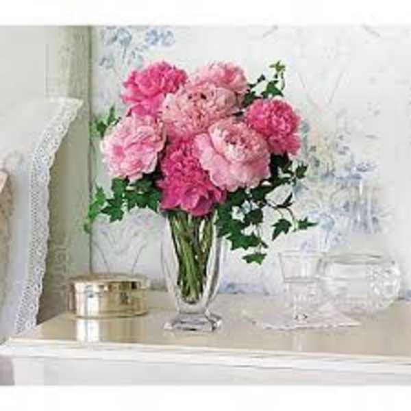 Pink carnations arranged in a clear glass vase