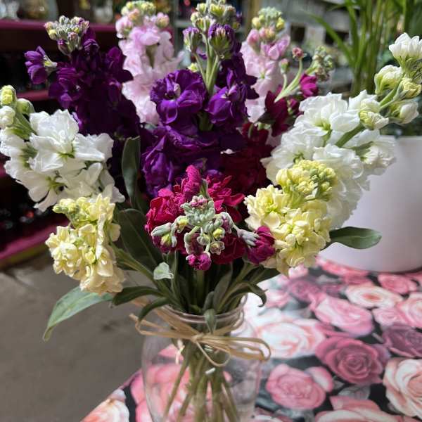 Bouquet of purple, pink, white, and yellow stock flowers in a glass vase