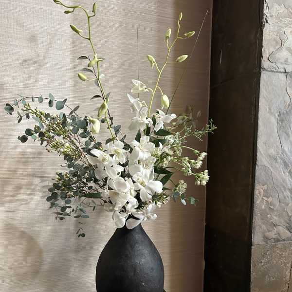 Jardin Blanc