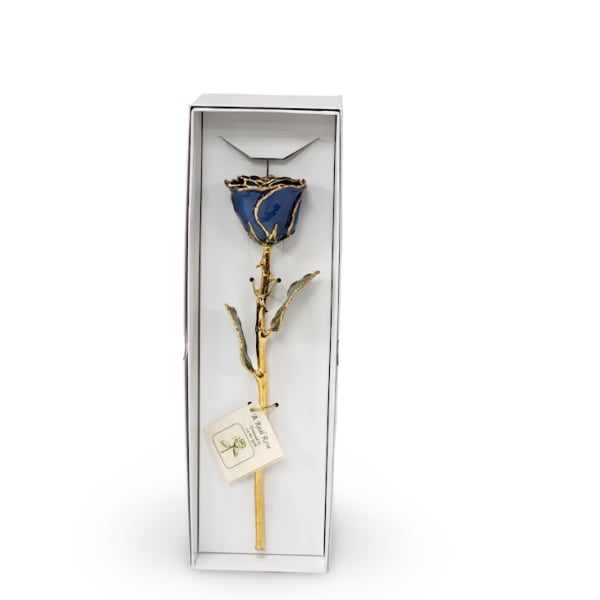 Preserved Navy Blue 24KT Gold Rose