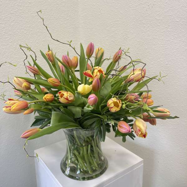 Fresh Tulips