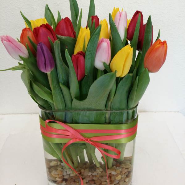 Mixed tulips in a glass vase with a pink ribbon