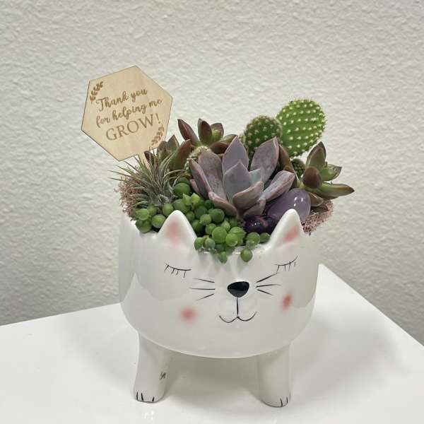 Purrfect!