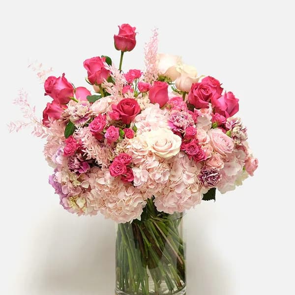Blush Noir