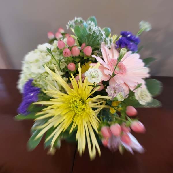 spring surprise