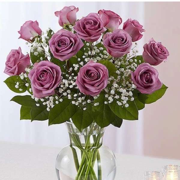 lavender love