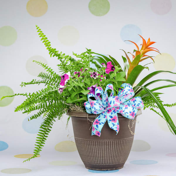 Medium - Patio Pot Planter