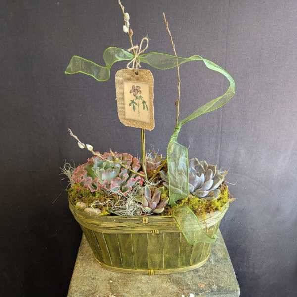 Rustic Succulent Garden