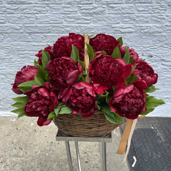 Peonies Large Bouquets