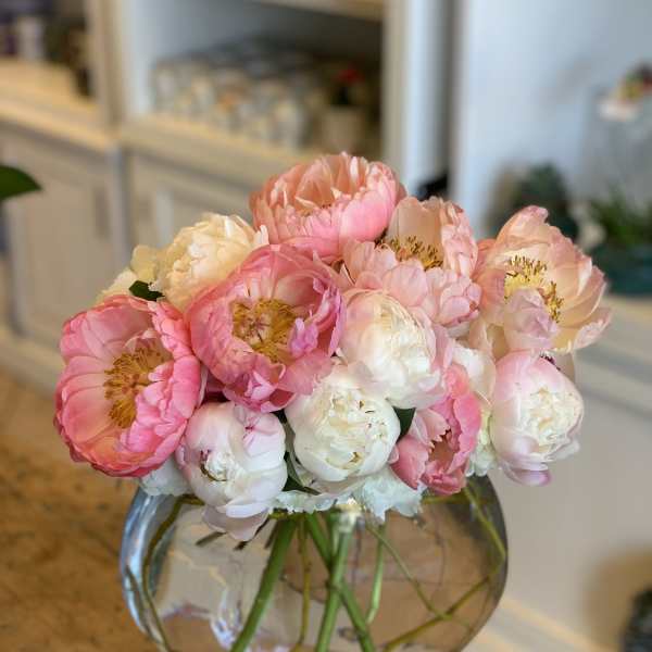 Pink and white peonies arranged in a round glass vase