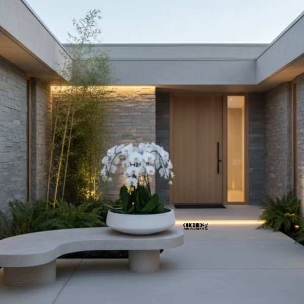 Elegance Orchid Miami
