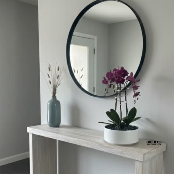 Alluring Orchid Miami