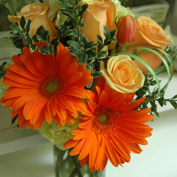 Starburst Of Orange