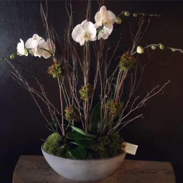 White orchids arranged in a shallow white bowl with branches