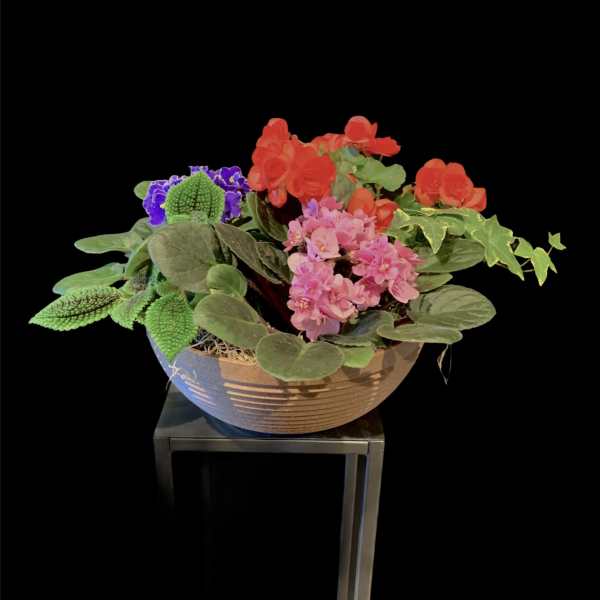 Mixed potted flowers in a shallow bowl on a stand