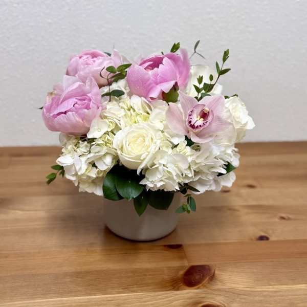 Peony Cuddles