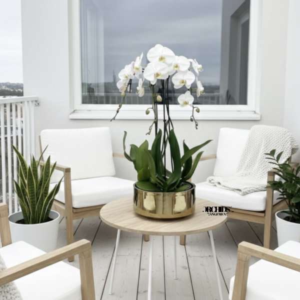 White orchids in a gold planter on a patio table