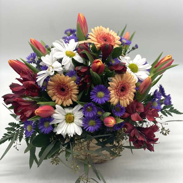 Mixed bouquet in a woven basket with daisies, gerbera daisies, tulips, and purple asters