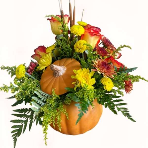 Enchanted Pumpkin