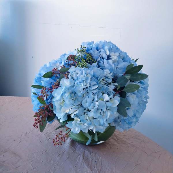 Blue Hue