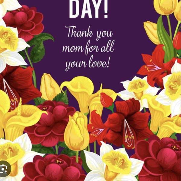 Mother's Day Designer's Choice $400