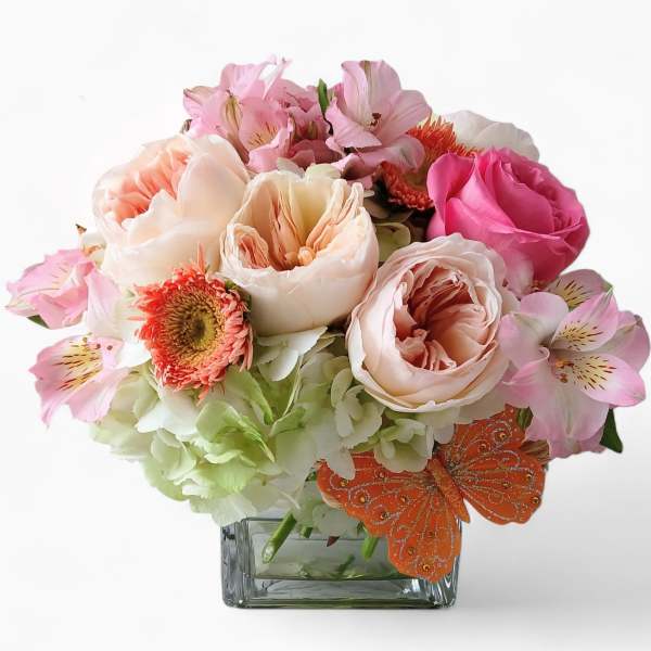 Low arrangement of blush and pink roses, hydrangeas, and alstroemeria in a glass cube with an orange butterfly