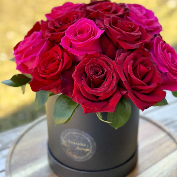 Box of Love