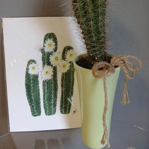 Cactus Set with Photo