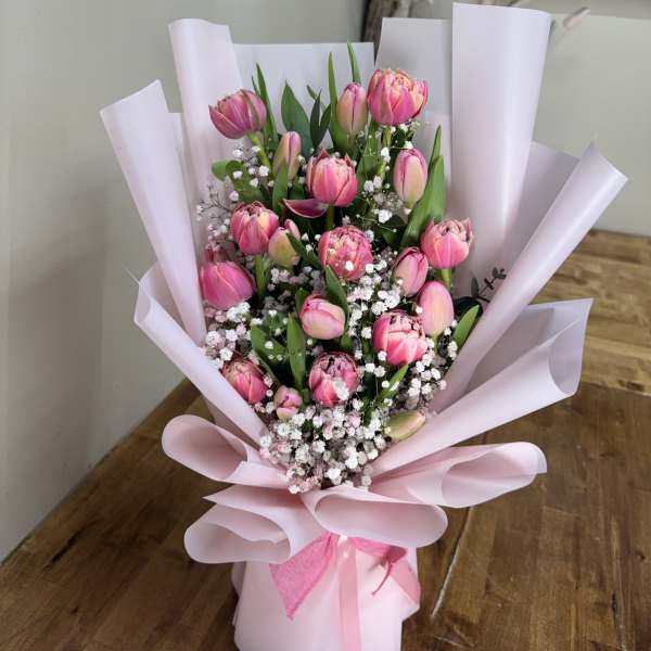 pink tulip dreams