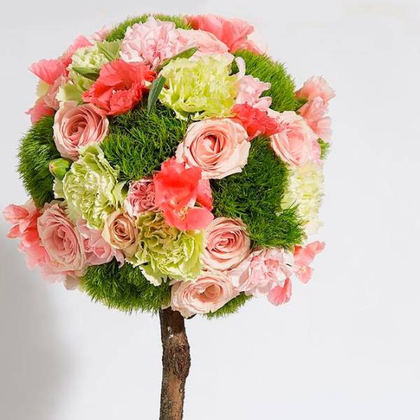 Topiary Zoe