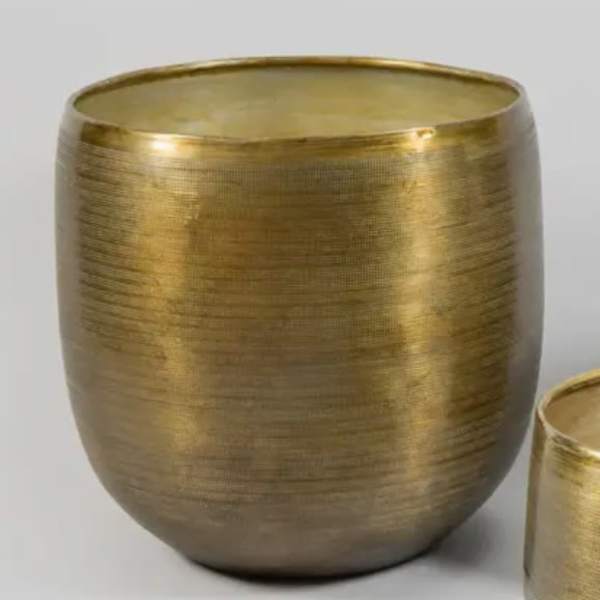 Gold metal planter pot on a plain background