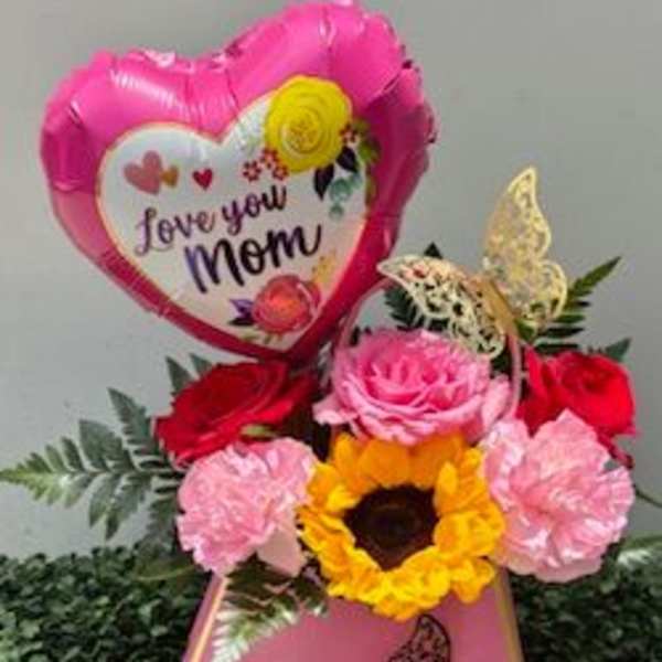 Diva Mom, I love you