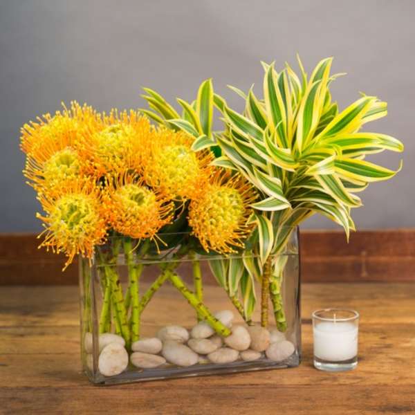 Orange pincushion flowers in a glass vase with striped foliage and stones