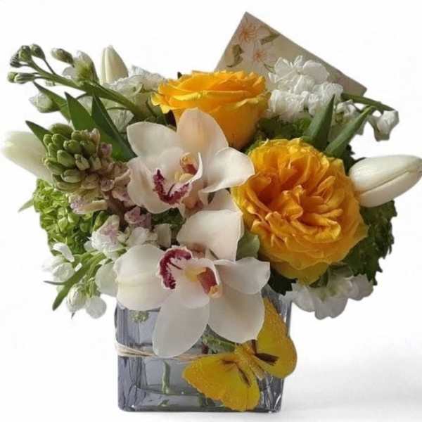 Compact arrangement of yellow roses and white orchids in a square glass vase with a yellow butterfly accent.
