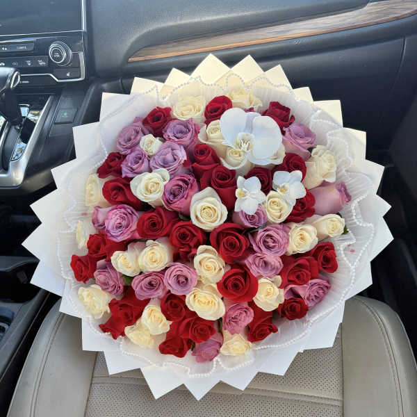 Miss Pretty and Wrapped