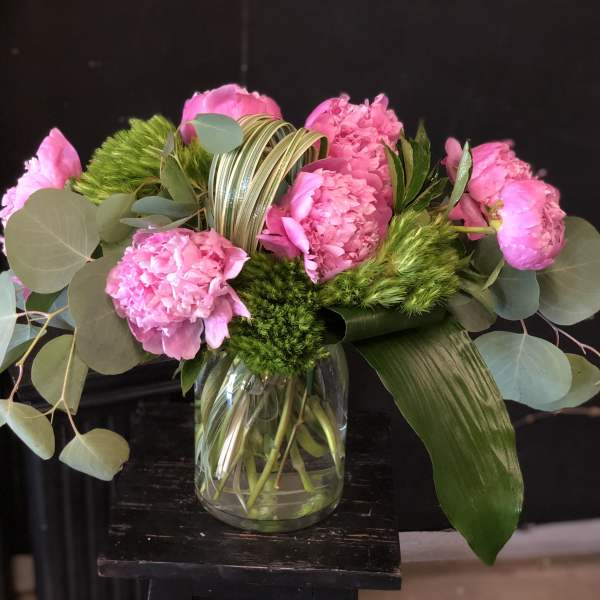 Peony Delight