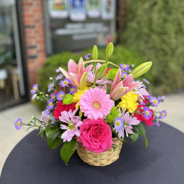 Daisy