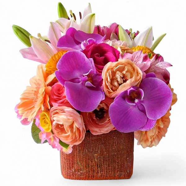 Citrus Peach Beauty Designer's Choice