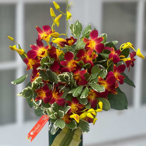 Fire orchids Tropics Arrangemnet Cube Vase Available Now
