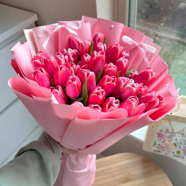 Beautiful tulips