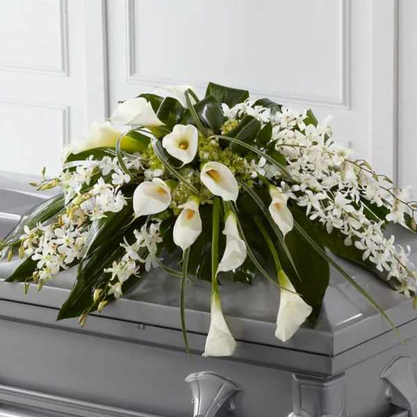 Dream in white