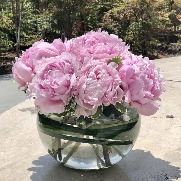 Pink peonies arranged in a round glass vase