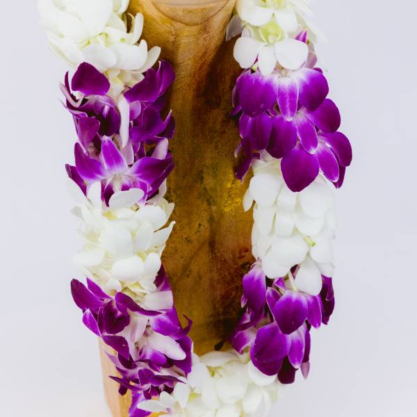 Purple and white orchid lei draped over a gold vase