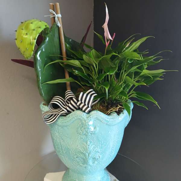 Paddle + Anthurium