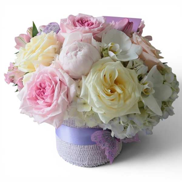 Lavender Mint Beauty Designer's Choice