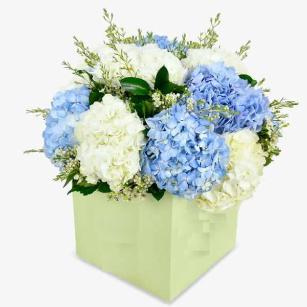 fresh dreamy bouquet