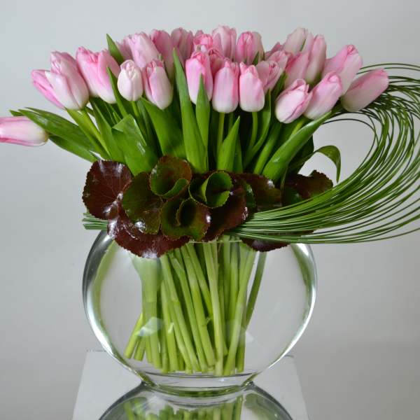 Just Pink Tulips