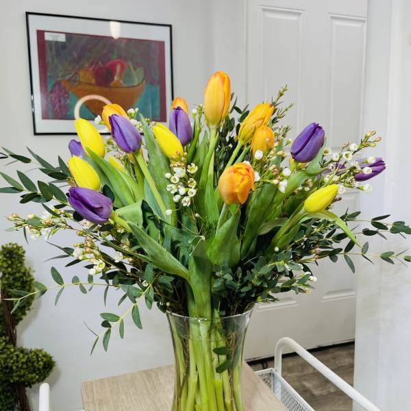 Tulip Mania