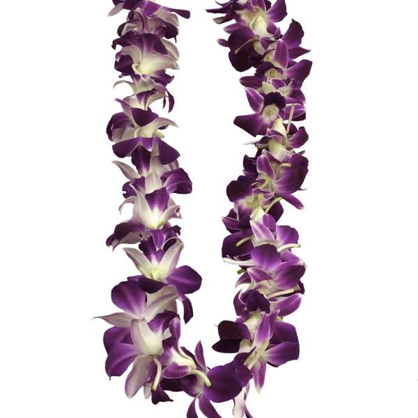Purple orchid lei on a white background