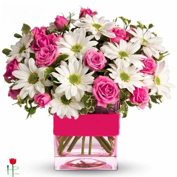 Roses & Daises